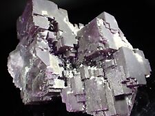 WOW Calcite on Blue & Purple Fluorite Cluster Denton Mine Hardin Co. Illinois picture