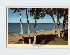 Postcard Refreshing Vista Beach Scene picture
