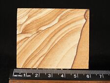 Small Navajo SANDSTONE Slice with Lines of Hematite with Stand From Utah 69.8gr picture