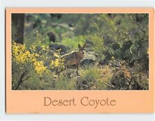Postcard Desert Coyote picture