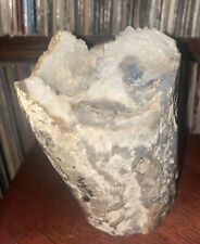 Ultra RARE Petrified Wood U.S. Specimen with Quartz Crystals - NOT FROM CHINA - picture