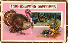 1911 Turkey Pumpkin THANKSGIVING GREETINGS Embossed Postcard picture