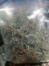 1 POUND ORGANIC  FRESH JUNIPER  LEAVES  WITH BERRIES  picture