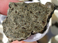 5.60 grams 40x25x2mm slice Amgala 001 Martian Shergottite Mars Meteorite COA picture