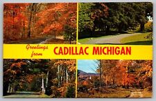 Greetings From Cadillac Michigan Mi Postcard picture