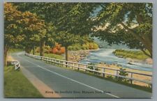 Along the Deerfield River, Mohawk Trail, Mass. Massachusetts Vintage Postcard picture