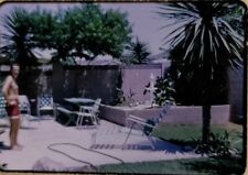 Shirtless Guy In Swim Trunks 35mm slide 1967 Palm Trees picture