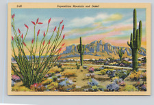 Postcard Arizona AZ Superstition Mountain & Desert Giant Saguaro Cactus A28 picture