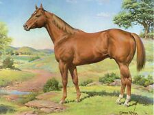 Orren Mixer Ideal Quarter Horse Art Postcard 50th Anniversary 1990 picture