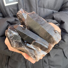 1.48LB Natural Beautiful Black Quartz Crystal Cluster Mineral Specimen Rare picture
