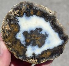 6.3 Oz Las Choyas Coconut Agate Geode Sagenite Eyes Rough Faced Fluorescent Rare picture