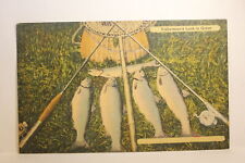 Postcard Fisherman's Luck Is Great  MA E27 picture