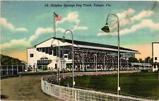 Vintage Postcard- Sulphur Springs Dog Track, Tampa, FL. Early 1900s picture