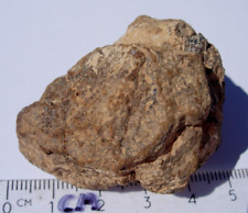 52.8 grams NWA xxx unclassified as found individual stoney Meteorite with a COA picture