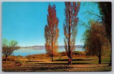 Lee Vining California Mono Lake & Islands Scenic Landscape Chrome Postcard picture