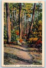 Walker Minnesota MN Postcard Greetings Exterior View Trees c1943 Vintage Antique picture