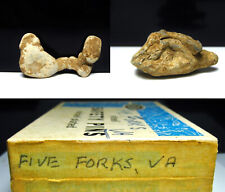 Five Forks VA Dug Civil War Relic 2 Interesting Fire Melted Bullets Camp Lead picture