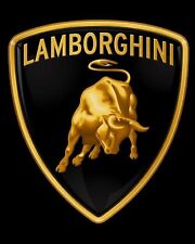 Lamborghini Logo Holographic 11x14 Matted Frame picture