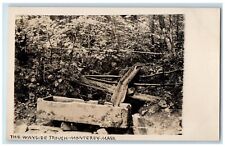 c1910's Wayside Trough Forest Monterey Massachusetts MA Photo Postcard picture