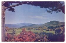 White Mountains New Hampshire Vintage Postcard Mt. Washington from Intervale Unp picture