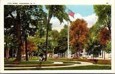 CITY PARK, KINGSTON, N. Y. Park with American Flag  VTG POSTCARD c1920's unpost picture