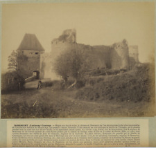 France, Luthenay-Uxeloup, Château de Rosemont Vintage Albumen Print Print al picture