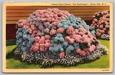 Hydrangea: Ocean City's Flower, New Jersey Postcard picture