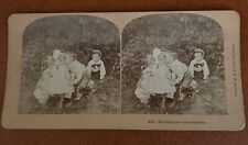 stereoscopic view card 4810. Budding Love and Jealousy 1888 picture