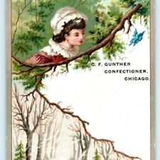 c1880s Chicago CF Gunther Confectioner Candy Embossed Trade Card Girl Winter C9 picture