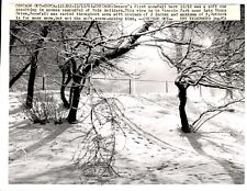 LD330 1963 Original UPI Photo SEASON'S FIRST SNOWFALL in CHICAGO LINCOLN PARK picture