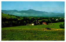 Postcard PANORAMIC SCENE Green Mountains Vermont VT 6/28 AU7346 picture