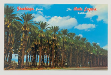 Greetings from the Date Empire California Date Groves Laden with Fruit Postcard picture