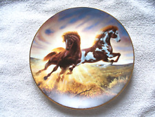 SUNRISE SURPRISE  UNBRIDLED SPIRIT CHUCK DEHAAN HORSE PLATE picture