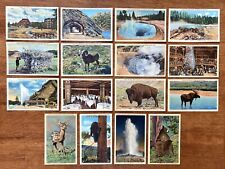 Lot of (16) Yellowstone National Park Vintage Linen Postcards - Unused picture
