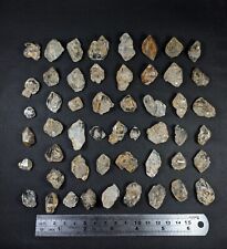 Natural Window Quartz crystals 54 pcs lot from Balochistan Pakistan (249 gm). picture