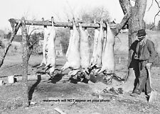 1939 Great Depression Butcher Shop PHOTO Old School Vintage Meat Market Farmer picture
