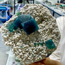 3.06LB Natural blue cubic fluorite cluster mineral sample picture