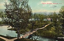 Casino Grounds Bridge Recreational Area Endicott New York Vintage Postcard 1910 picture
