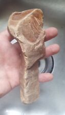 Authentic Native American Indian Artifact Duck River Middle Tennessee picture