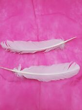 Lof of 2 White Bird Feathers 12.5 Inches picture