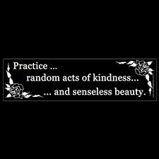 Practice Random Acts of Kindness and Senseless Beauty BUMPER STICKER or MAGNET picture