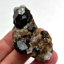 59g 1pc New perfect GARNET SPECIMEN raw ore quartz mineral specimen B979 picture