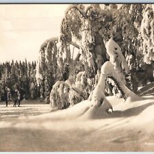 c1910s Norge Norway Eneret Mittet RPPC Winter Snow Skiing Hike Real Photo A258 picture