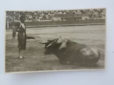 1900s Antique RPPC Postcard Bullfighting Bull Down Bullfighter A1484 picture