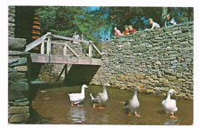 Sturbridge Village MA Postcard Massachusetts Grist Mill Geese Birds picture