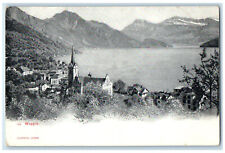 c1905 River Mountains Weggis Lucerne Switzerland Antique Unposted Postcard picture