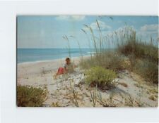 Postcard Along the Beautiful Sandy Beaches of Florida USA picture