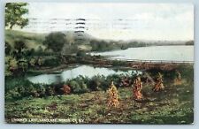 Postcard NY Sandlake Reness County Crooked Lake 1908 View V13 picture
