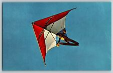 Vintage Delta Wing Suit as Seen at Cypress Gardens Florida Postcard picture