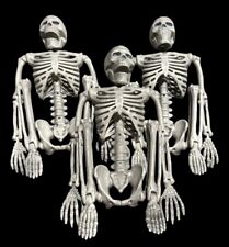 Three Quality Jointed Pose-able Skeleton Decorations For Halloween 24 Inch Tall picture